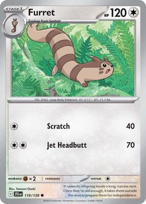 Furret 119/159 - Journey Together - Non-Holo